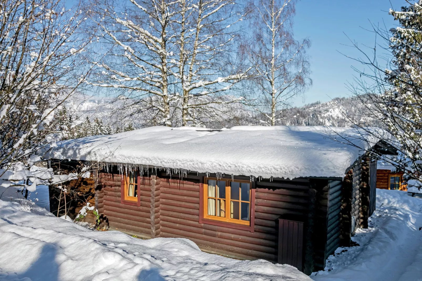 Chalet im Brixental I-Exterieur winter