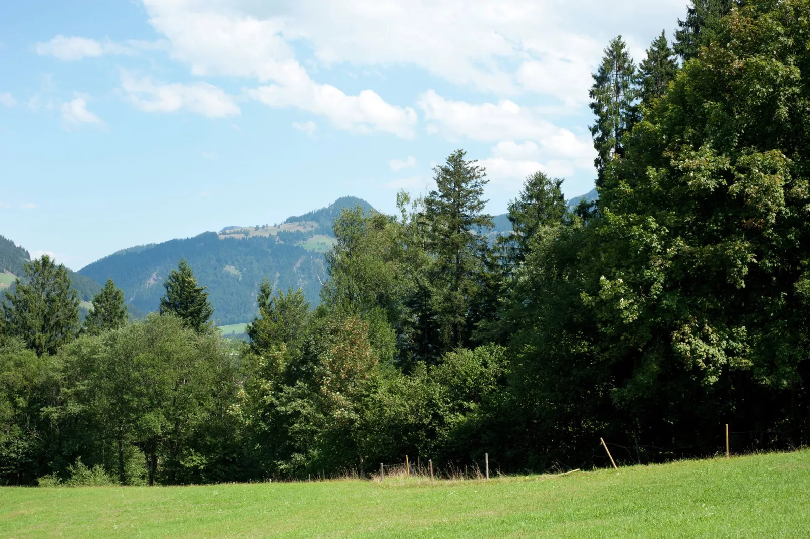 Chalet im Brixental I-Tuinen zomer