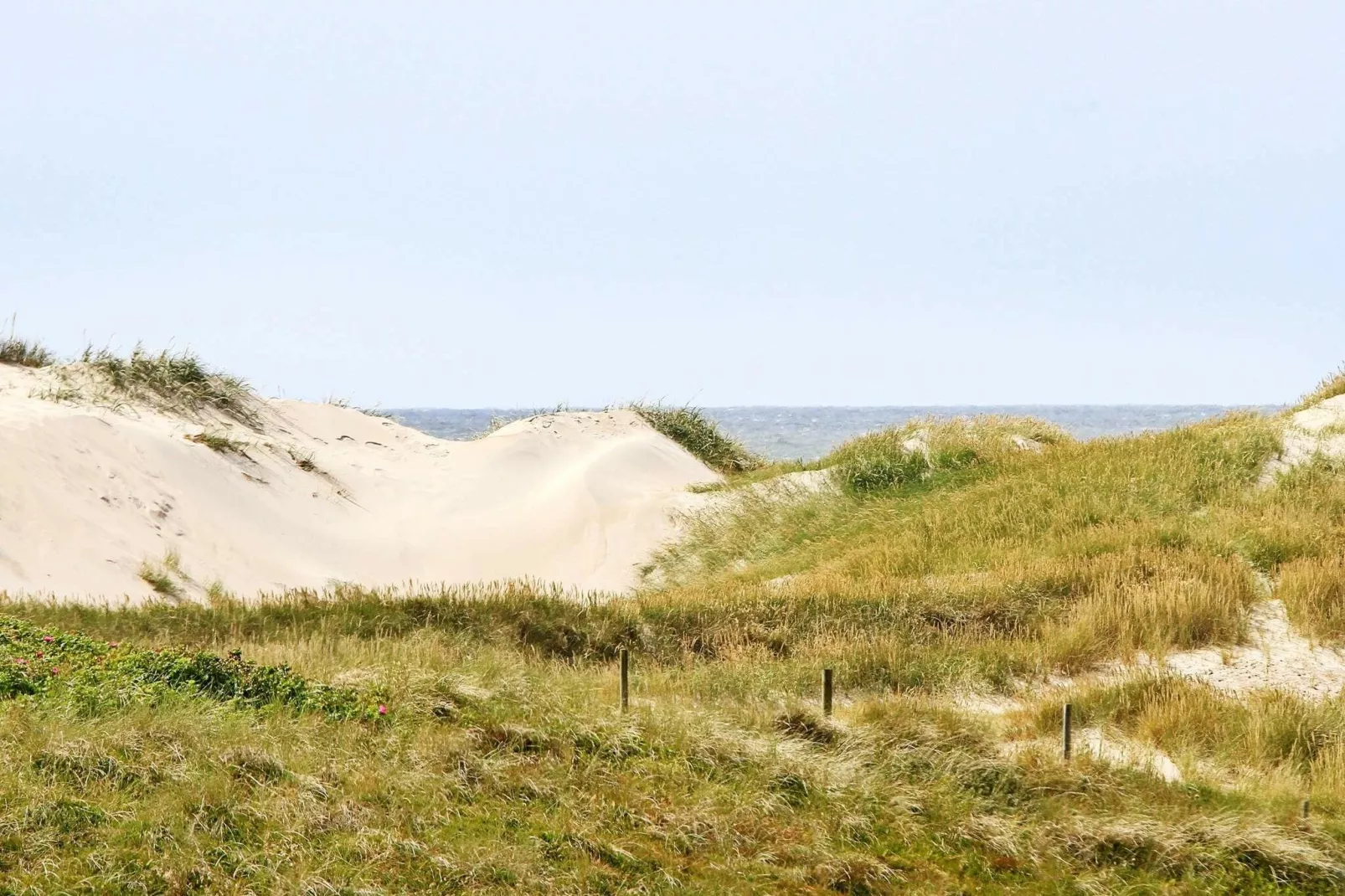 9 persoons vakantie huis in Ringkøbing-By Traum-Niet-getagd