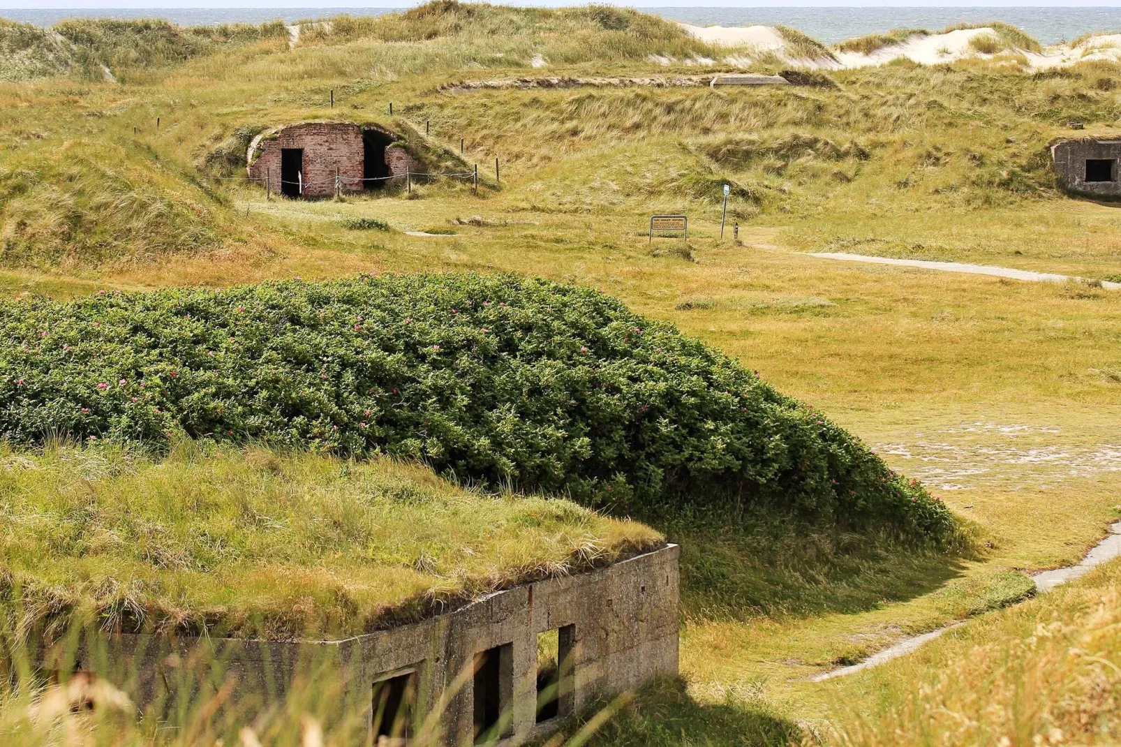 9 persoons vakantie huis in Ringkøbing-By Traum-Niet-getagd