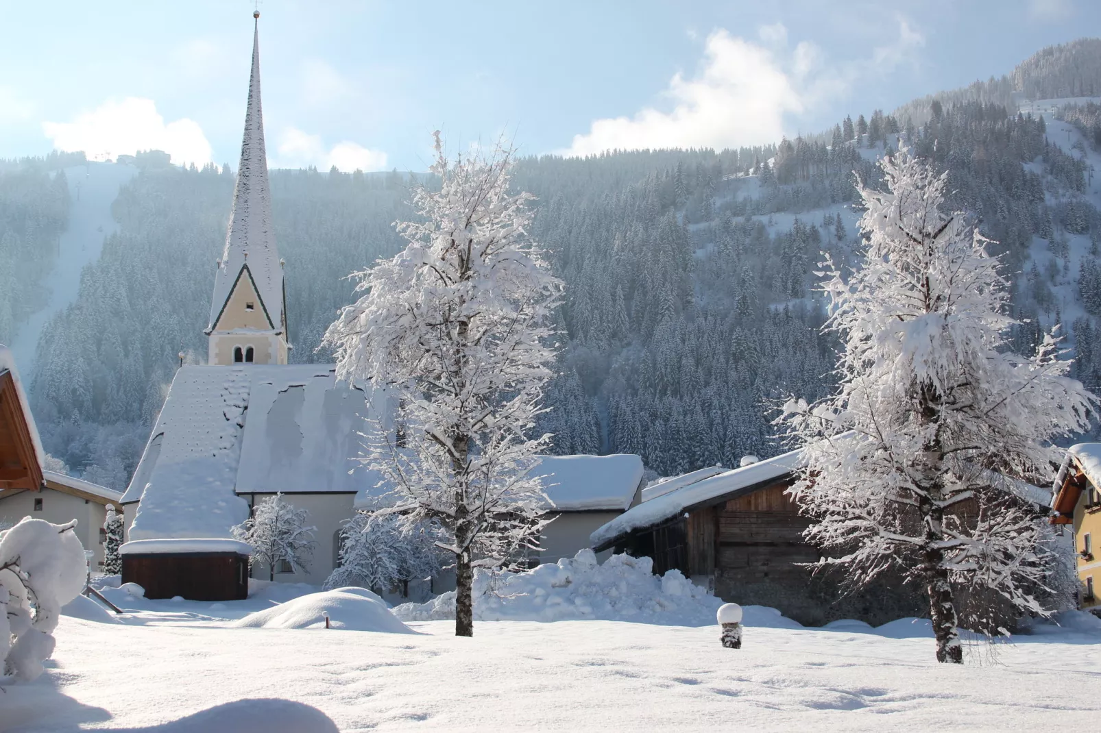 Vicky Apartments Niederau-Gebied winter 1km