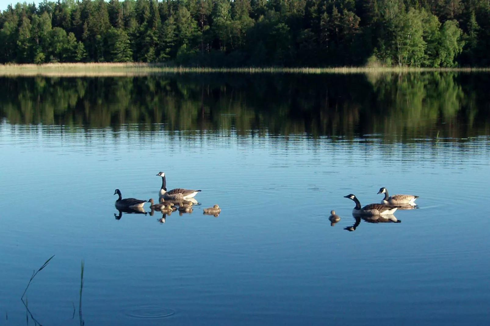 5 persoons vakantie huis in VÄDDÖ-By Traum-Uitzicht