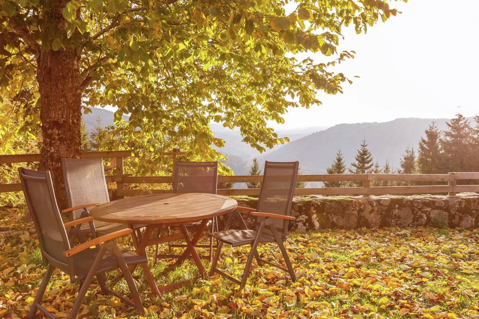 Maison de vacance - Cros-de-Géorand-Terrasbalkon