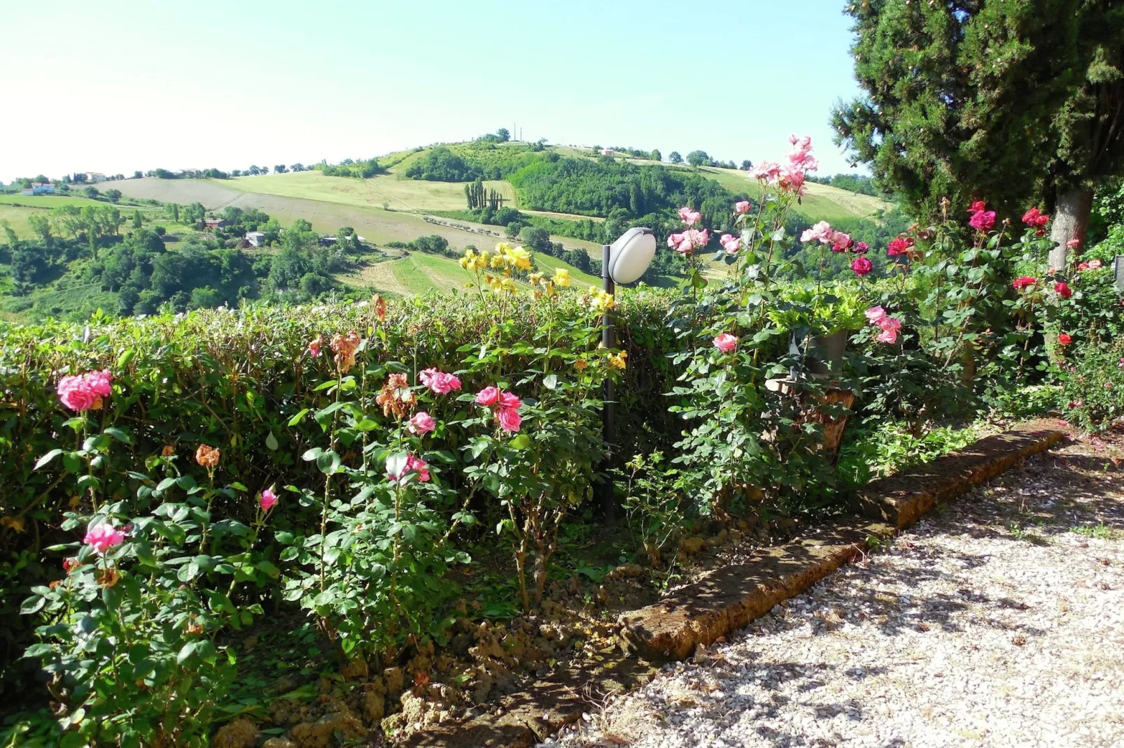 Agriturismo met zwembad en mooi uitzicht tussen wijngaard en olijfbomen-Uitzicht zomer