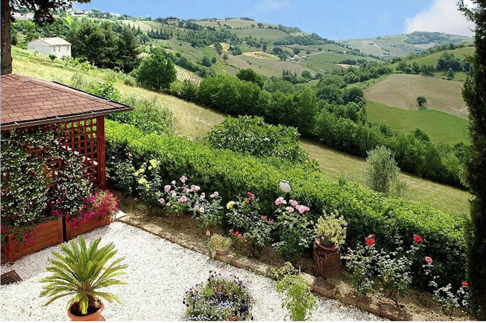 Agriturismo met zwembad en mooi uitzicht tussen wijngaard en olijfbomen-Uitzicht zomer