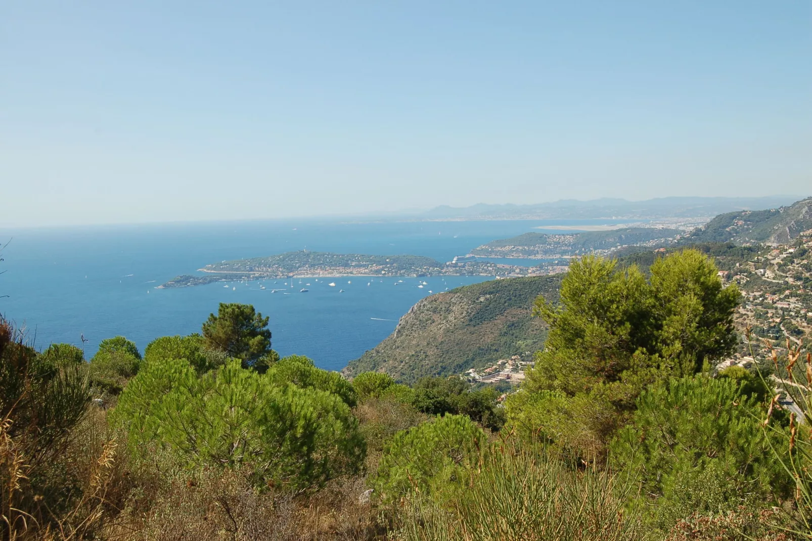 Vista Monte Carlo-Gebieden zomer 1km