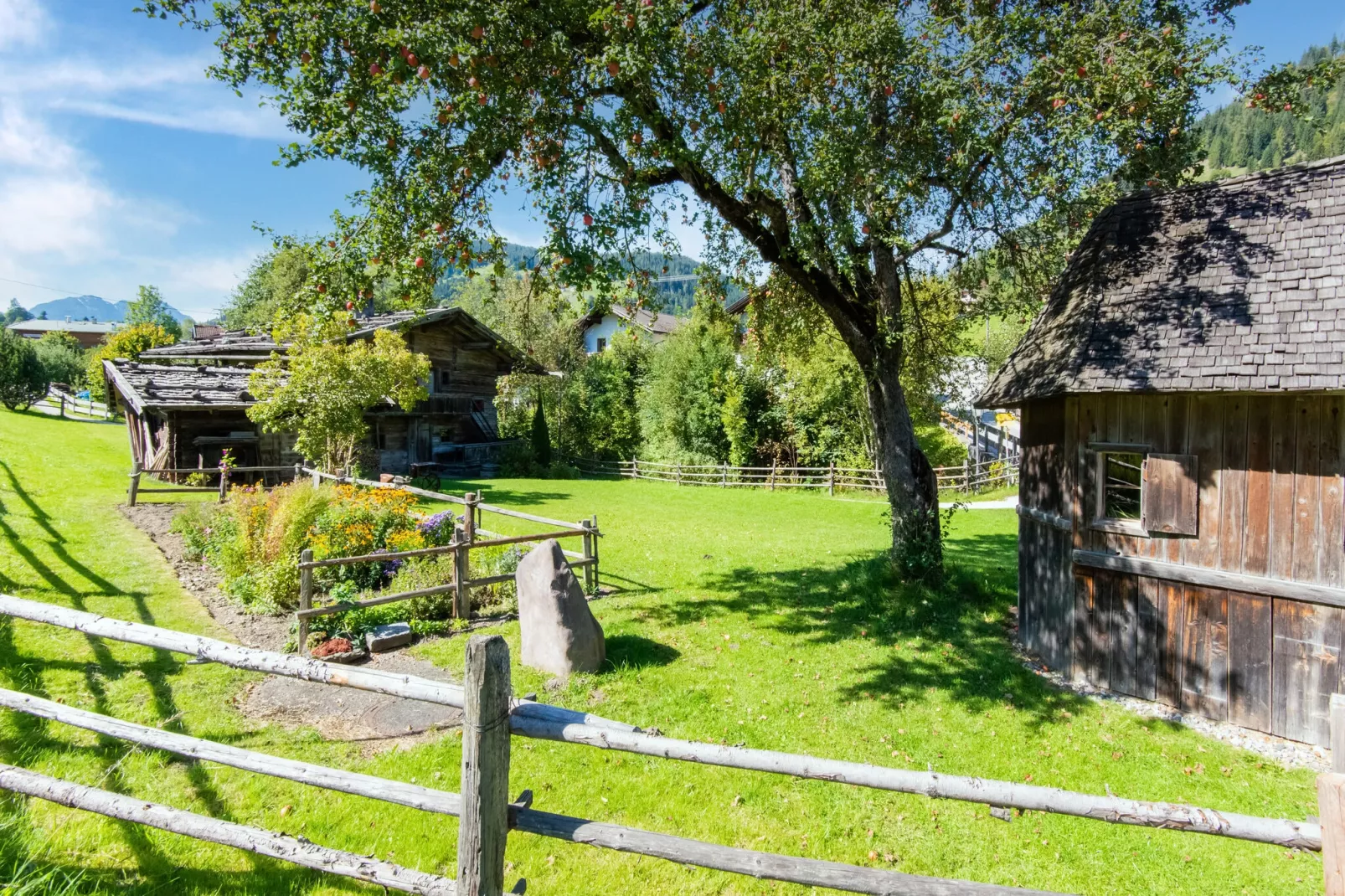 Apart Wildschönau 1-Uitzicht zomer