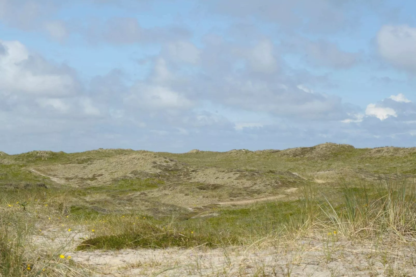 Sereen vakantiehuis in Ringkøbing met zwembad-Uitzicht