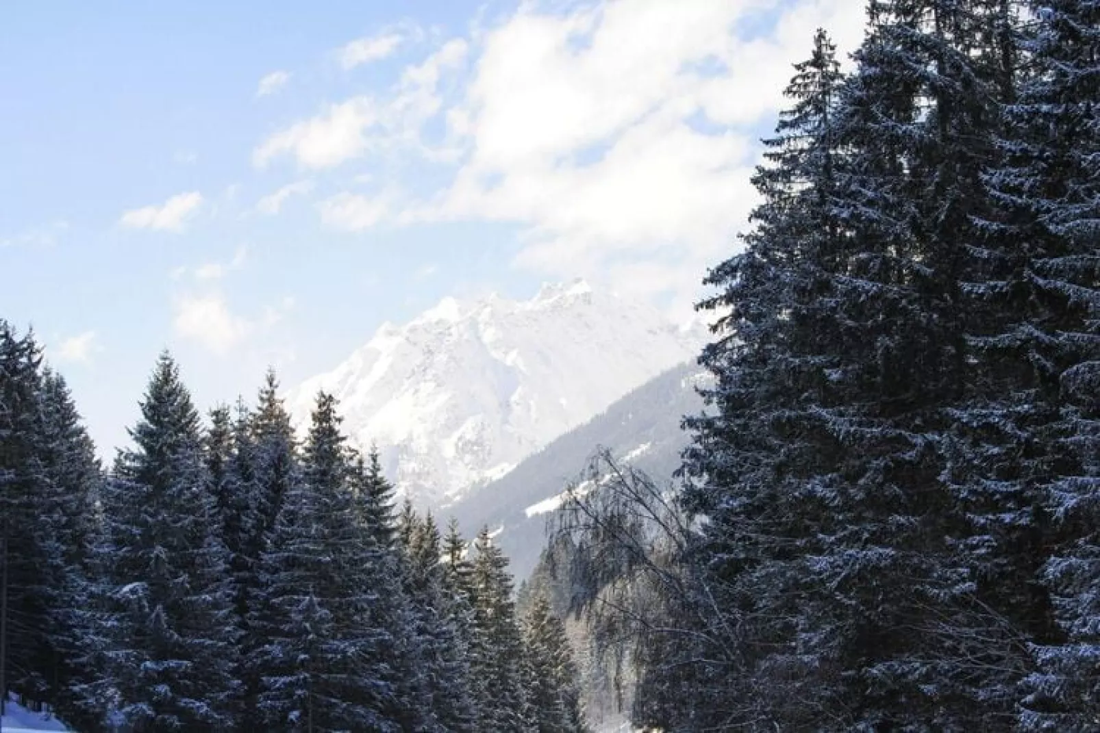 Val Sinestra - Typ A-Uitzicht winter