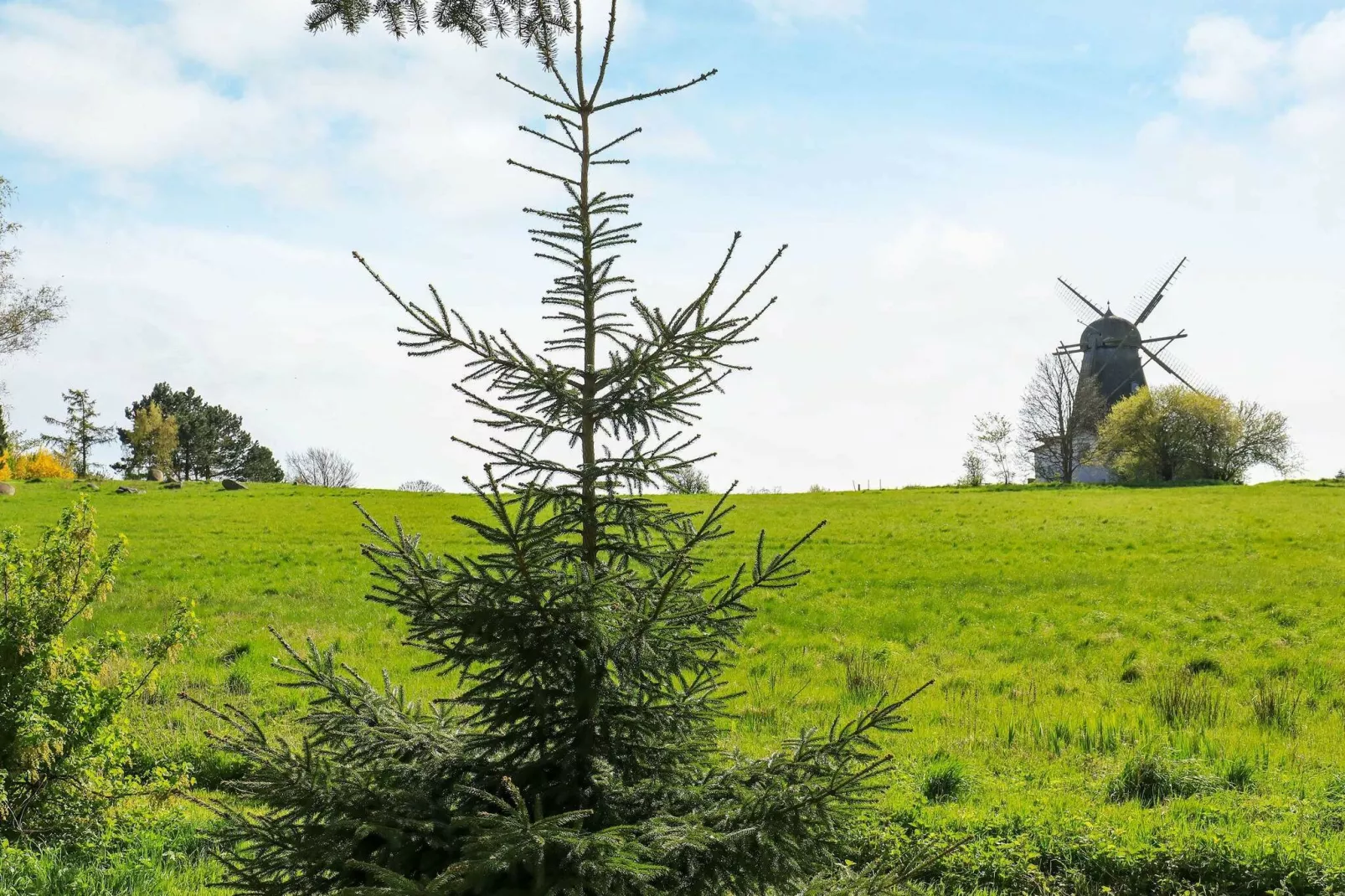 4 persoons vakantie huis in Bogø By-By Traum-Uitzicht