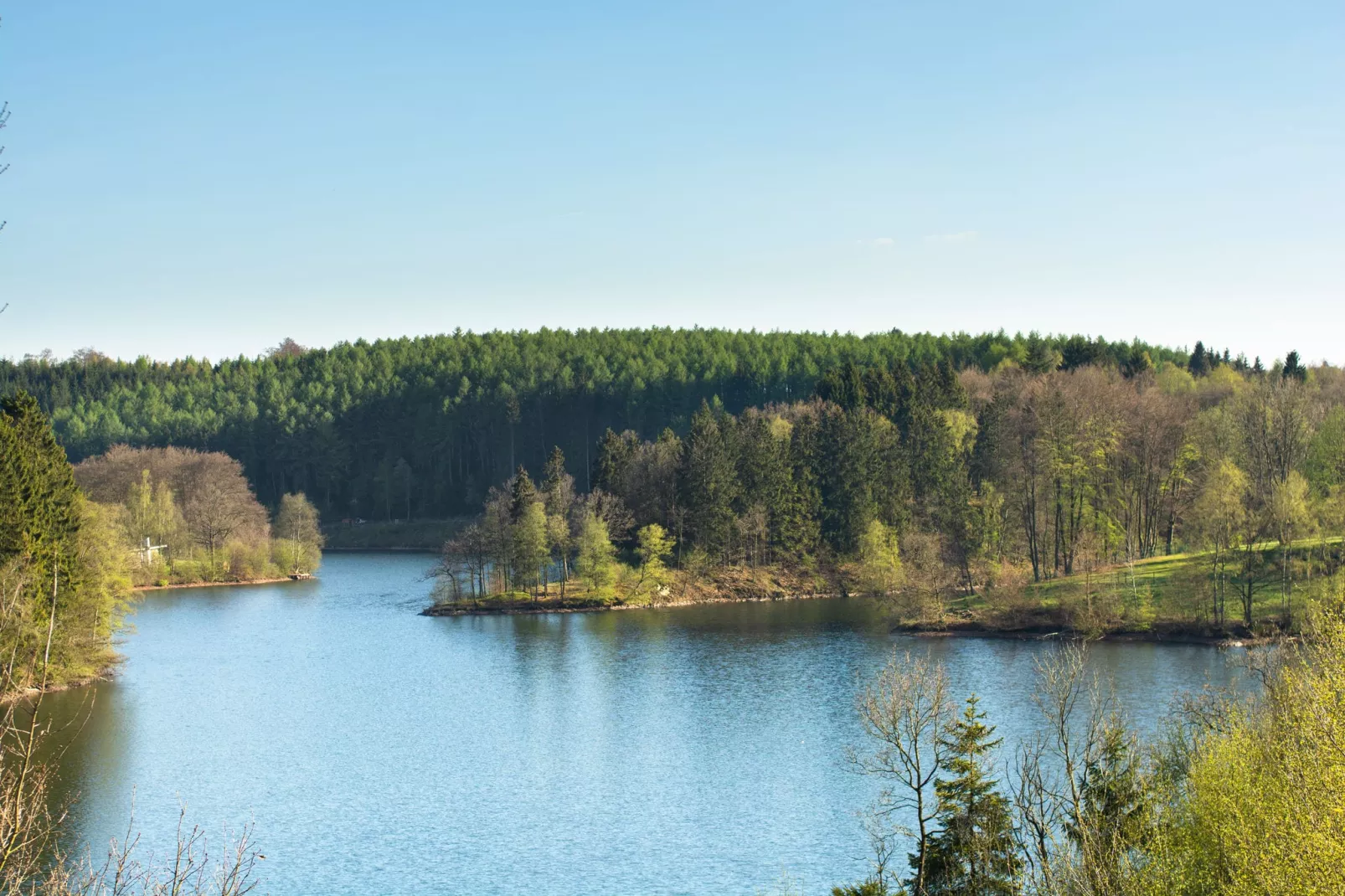 Le Fagna-Gebieden zomer 5km