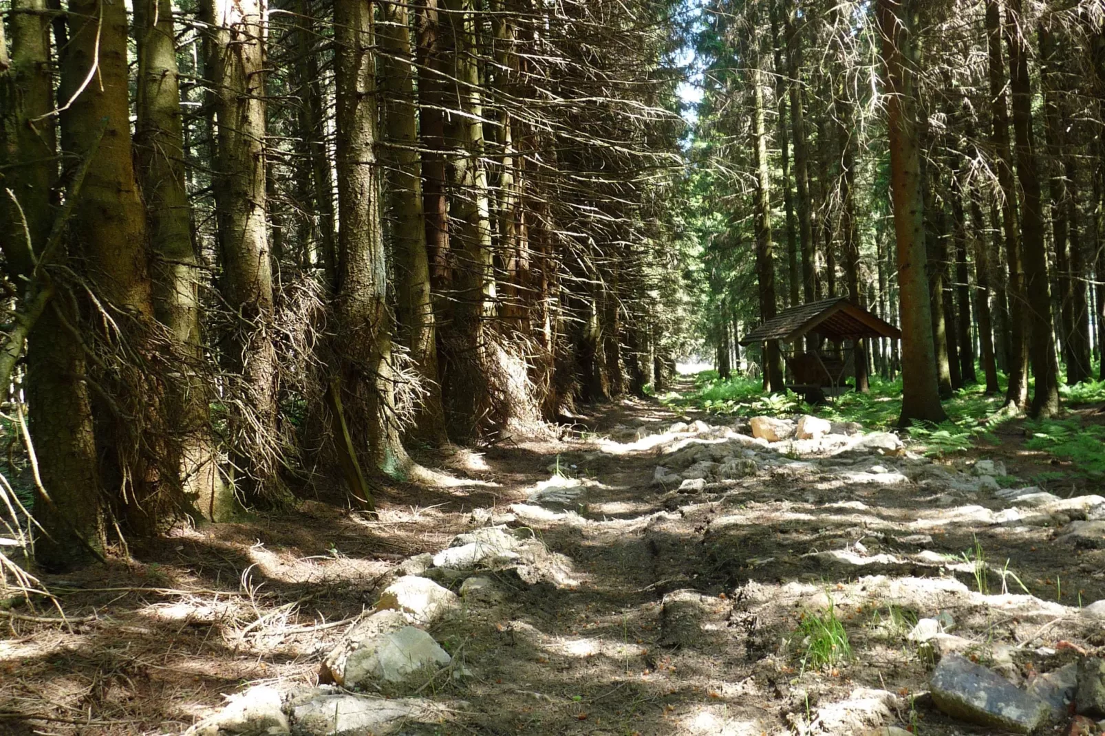 La Cabane-Gebieden zomer 1km