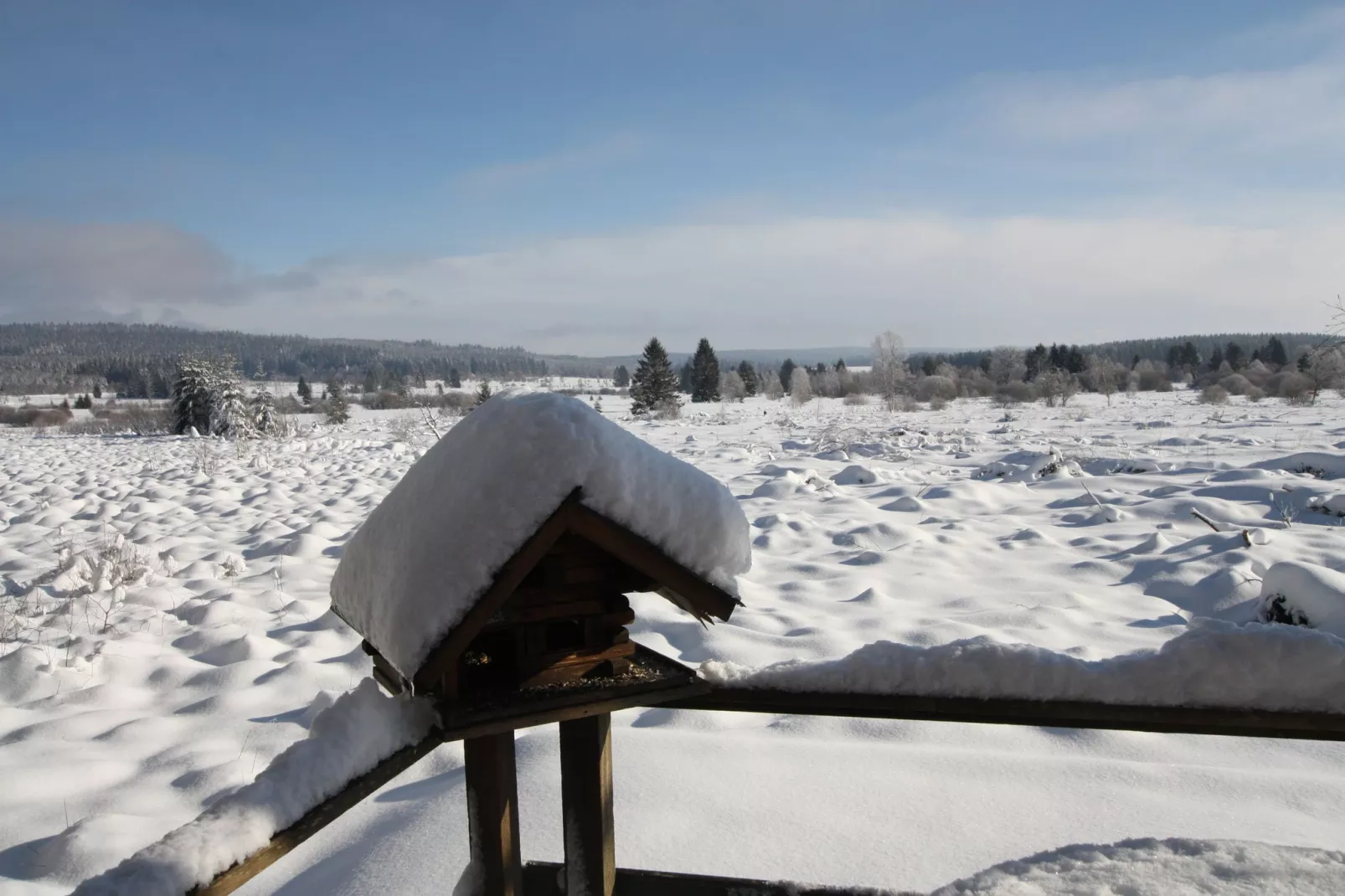 La Cabane-Uitzicht winter