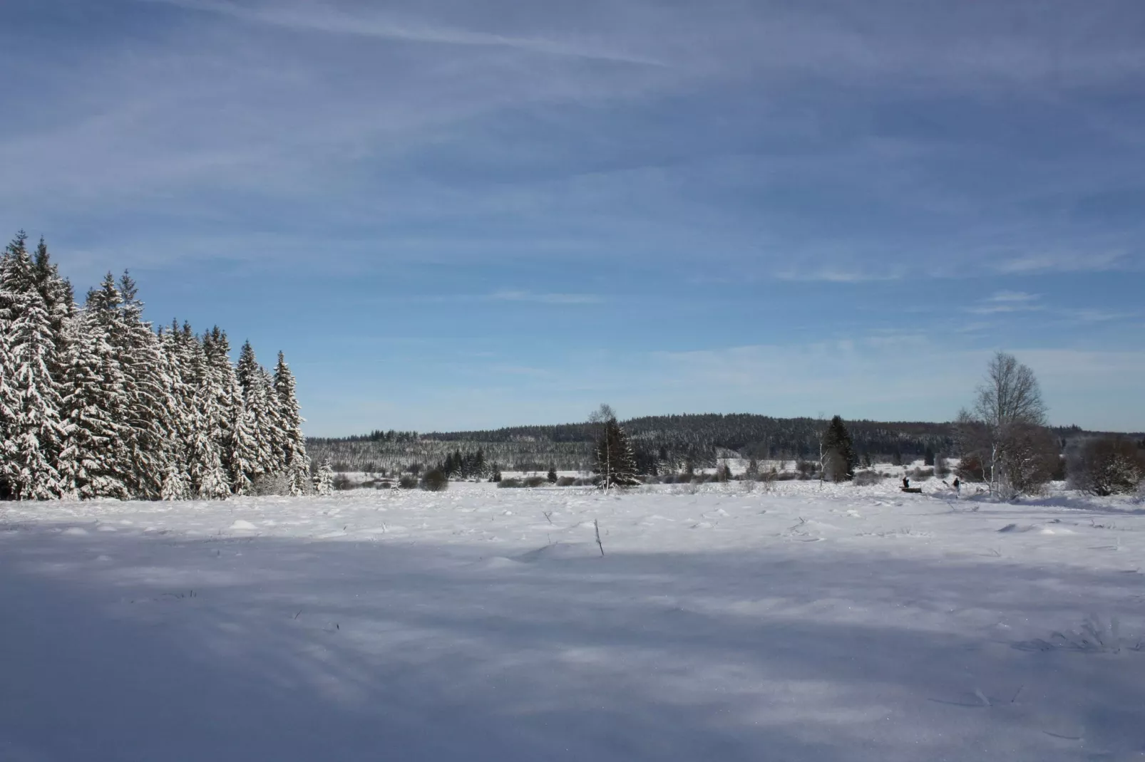 La Cabane-Gebied winter 1km