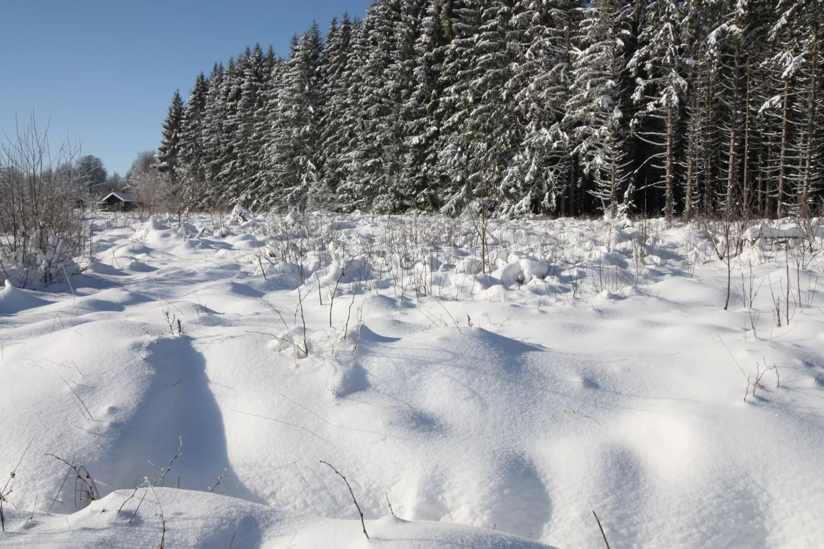 La Cabane-Exterieur winter