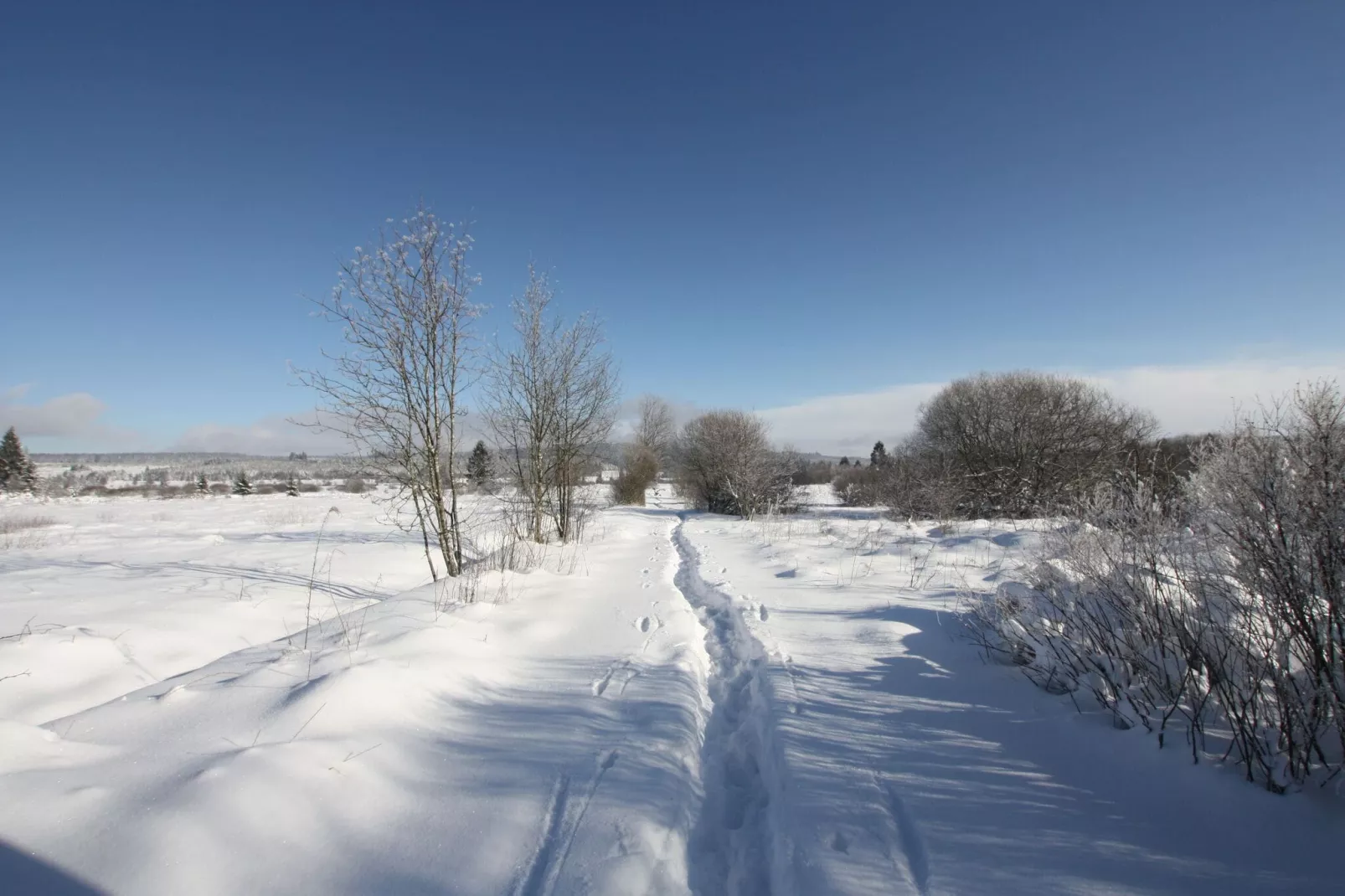 La Cabane-Gebied winter 1km