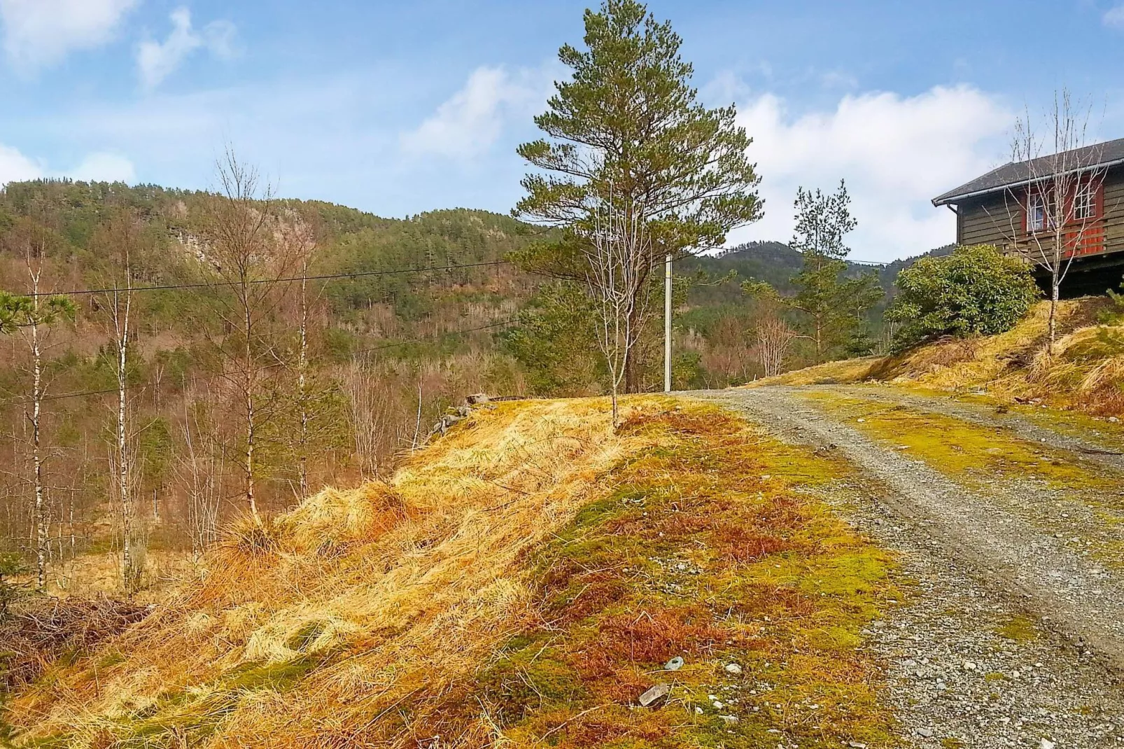 99206 RØSSLYNGTUA-Buitenlucht