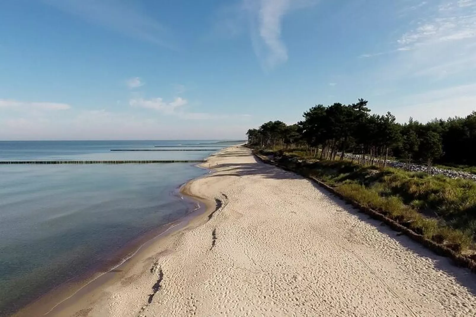 Studio-Gebieden zomer 5km