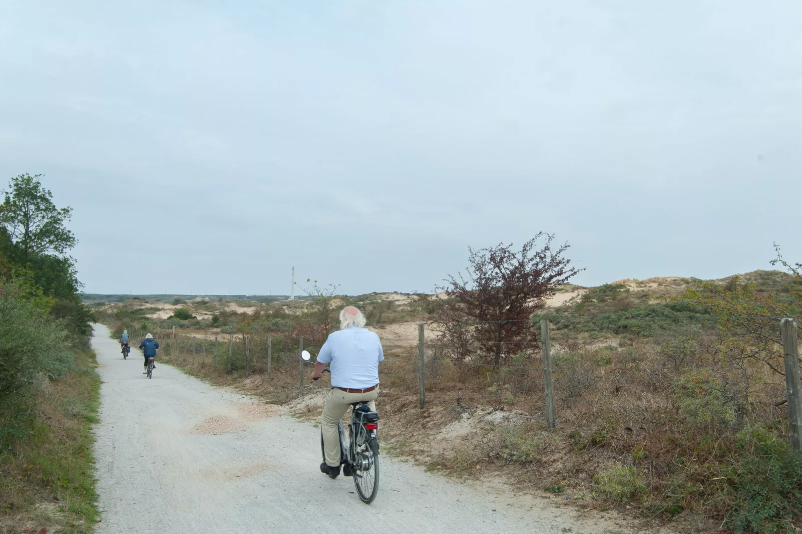 Bungalowpark 't Lappennest 2-Gebieden zomer 5km