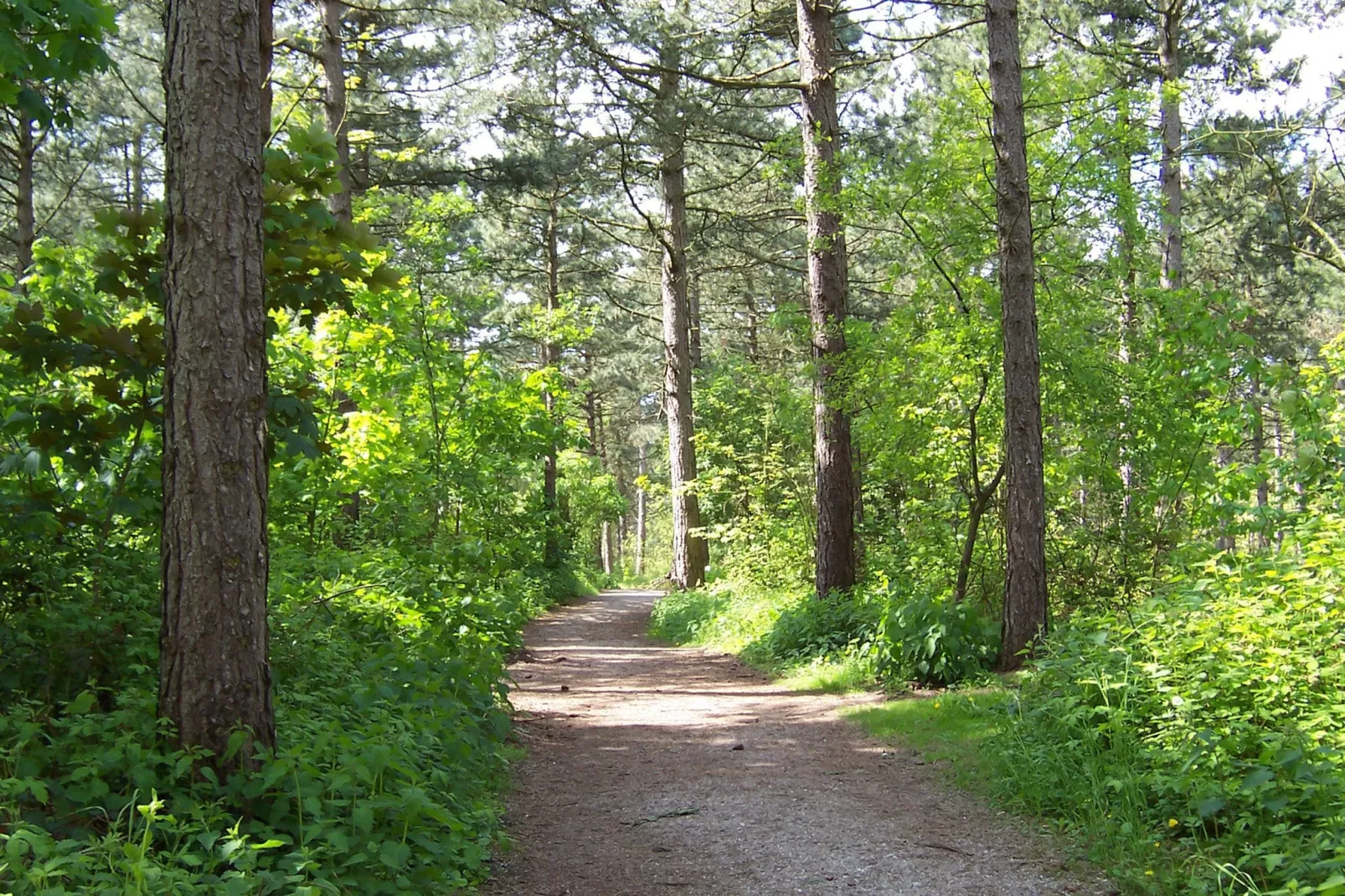 Duinvilla Noordwijk-Gebieden zomer 5km