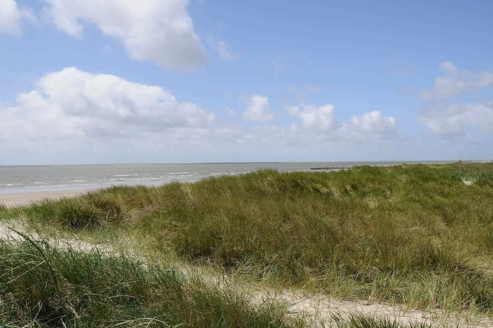 8 persoons vakantie huis in Blåvand-Uitzicht