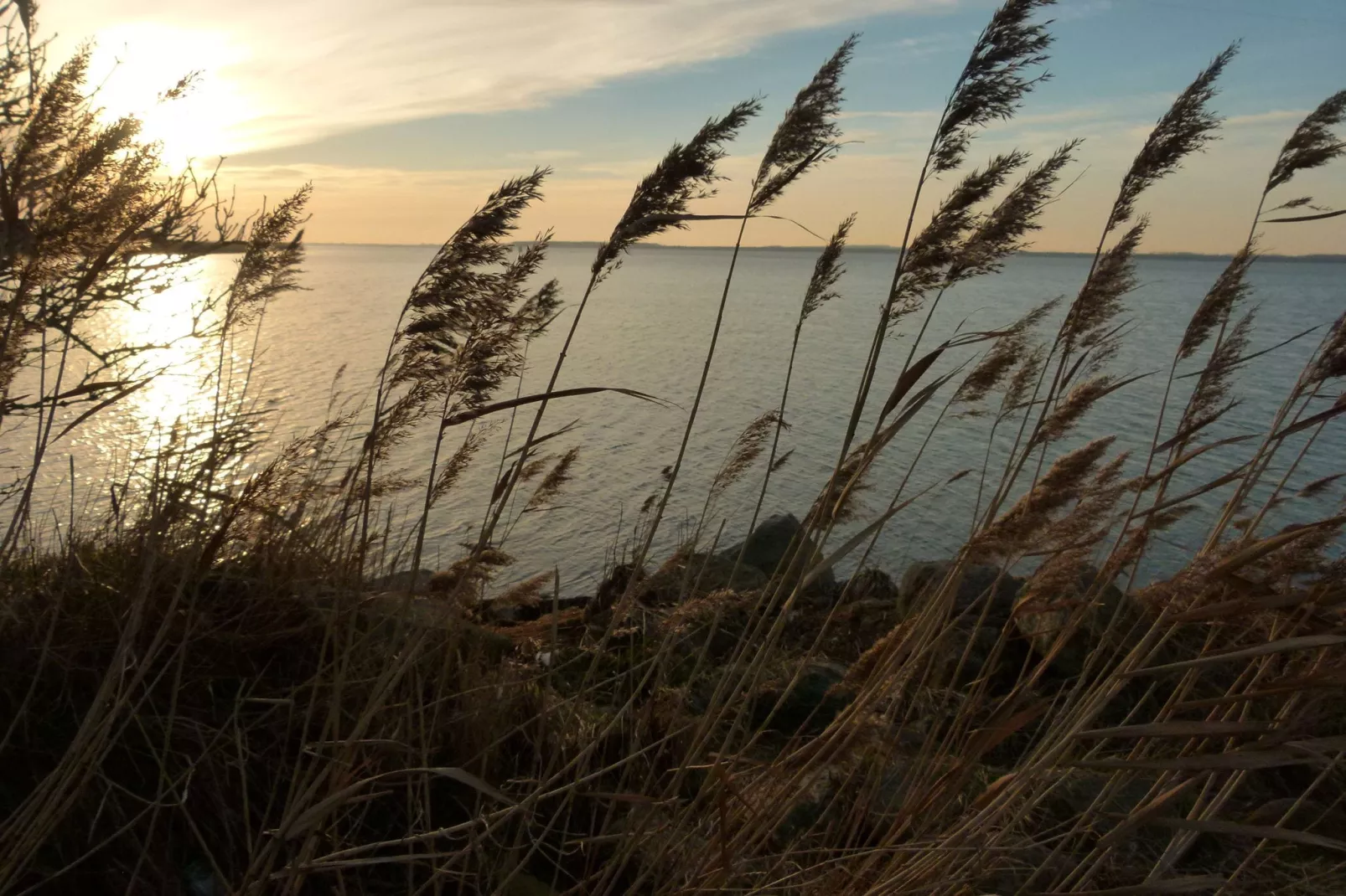 Ostsee-Haus Windland auf der Insel-Gebieden zomer 20km