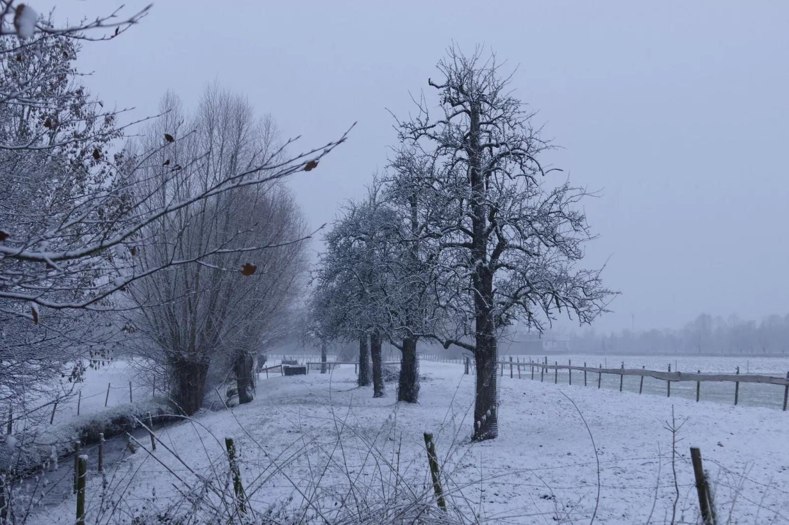 Meschermolen 7-Gebied winter 1km