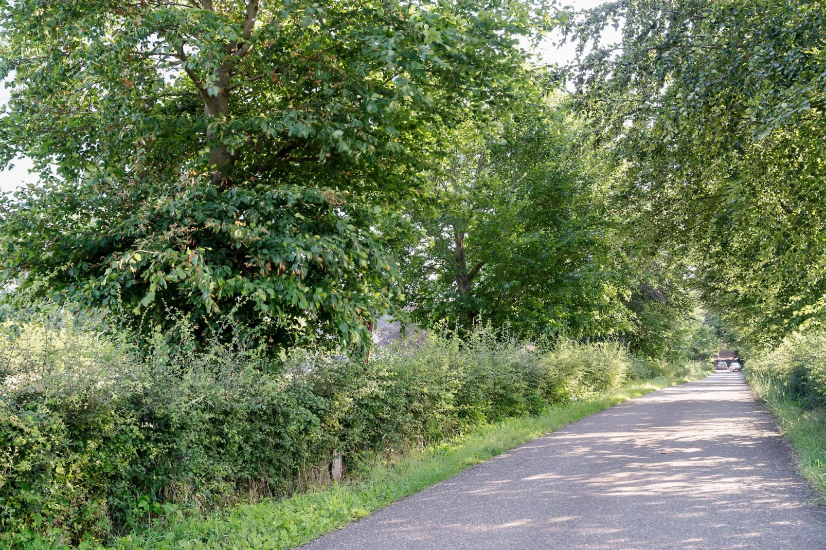 Meschermolen 7-Gebieden zomer 1km