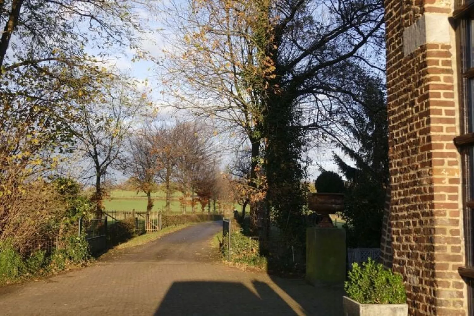 Meschermolen 11-Gebieden zomer 1km