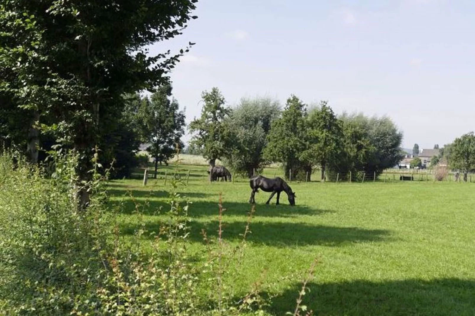 Meschermolen 11-Gebieden zomer 5km