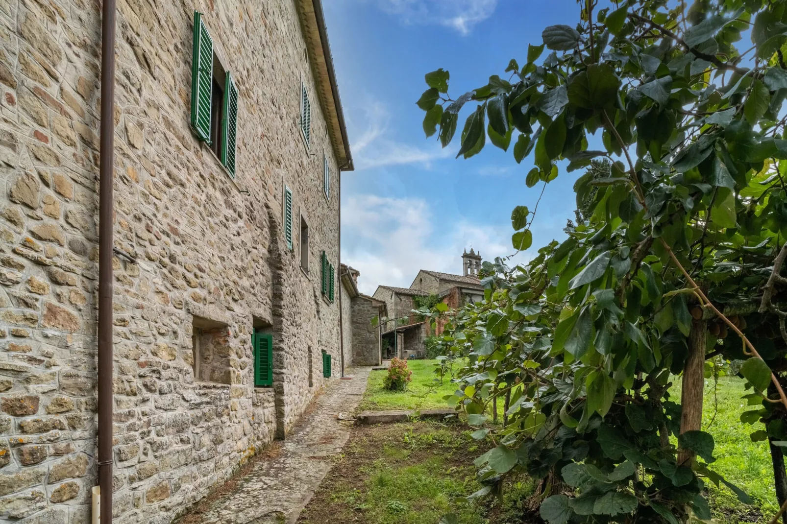 Casa Olivo-Tuinen zomer