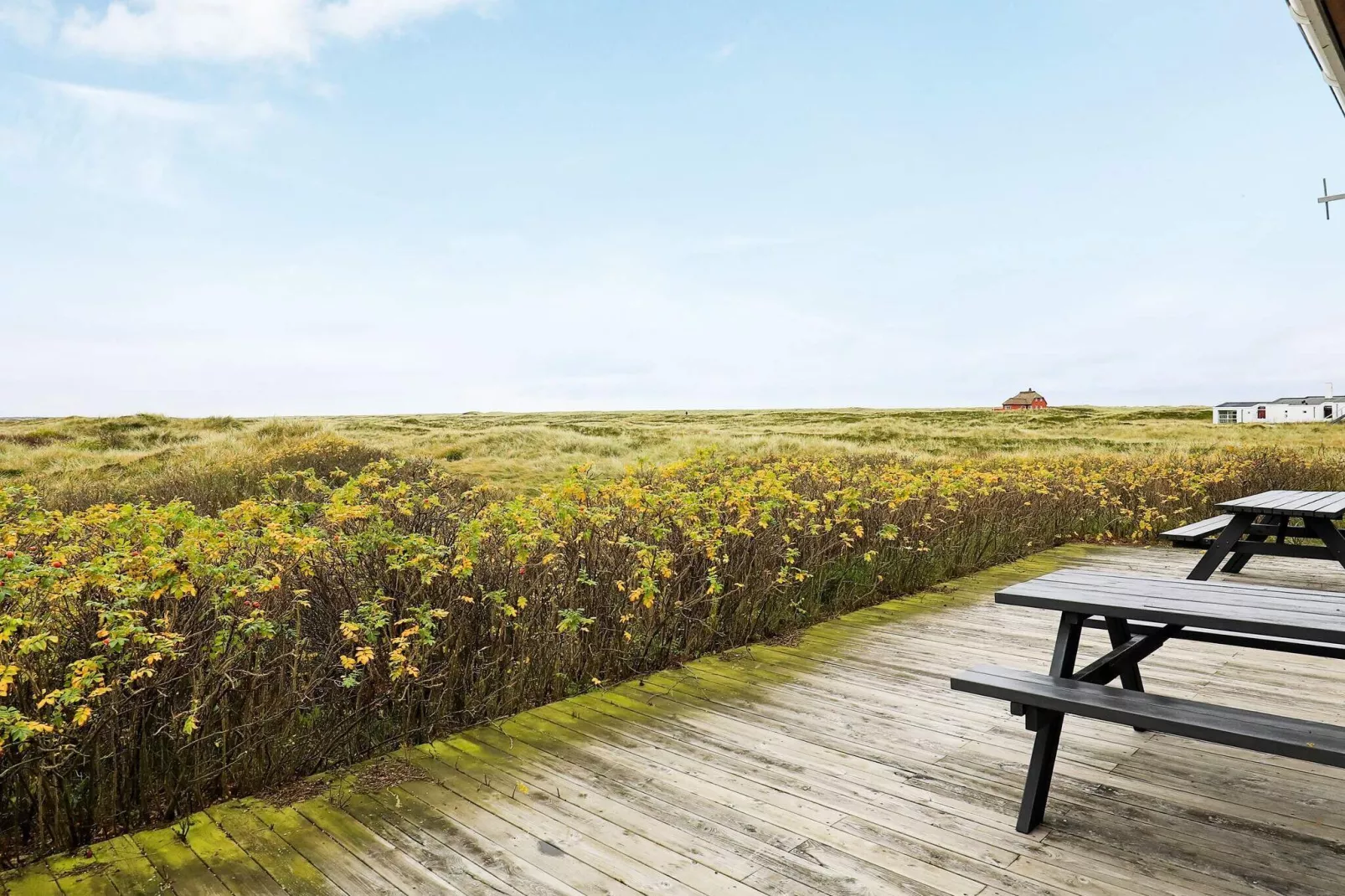 Prachtig vakantiehuis in het Jutland met bubbelbad-Uitzicht