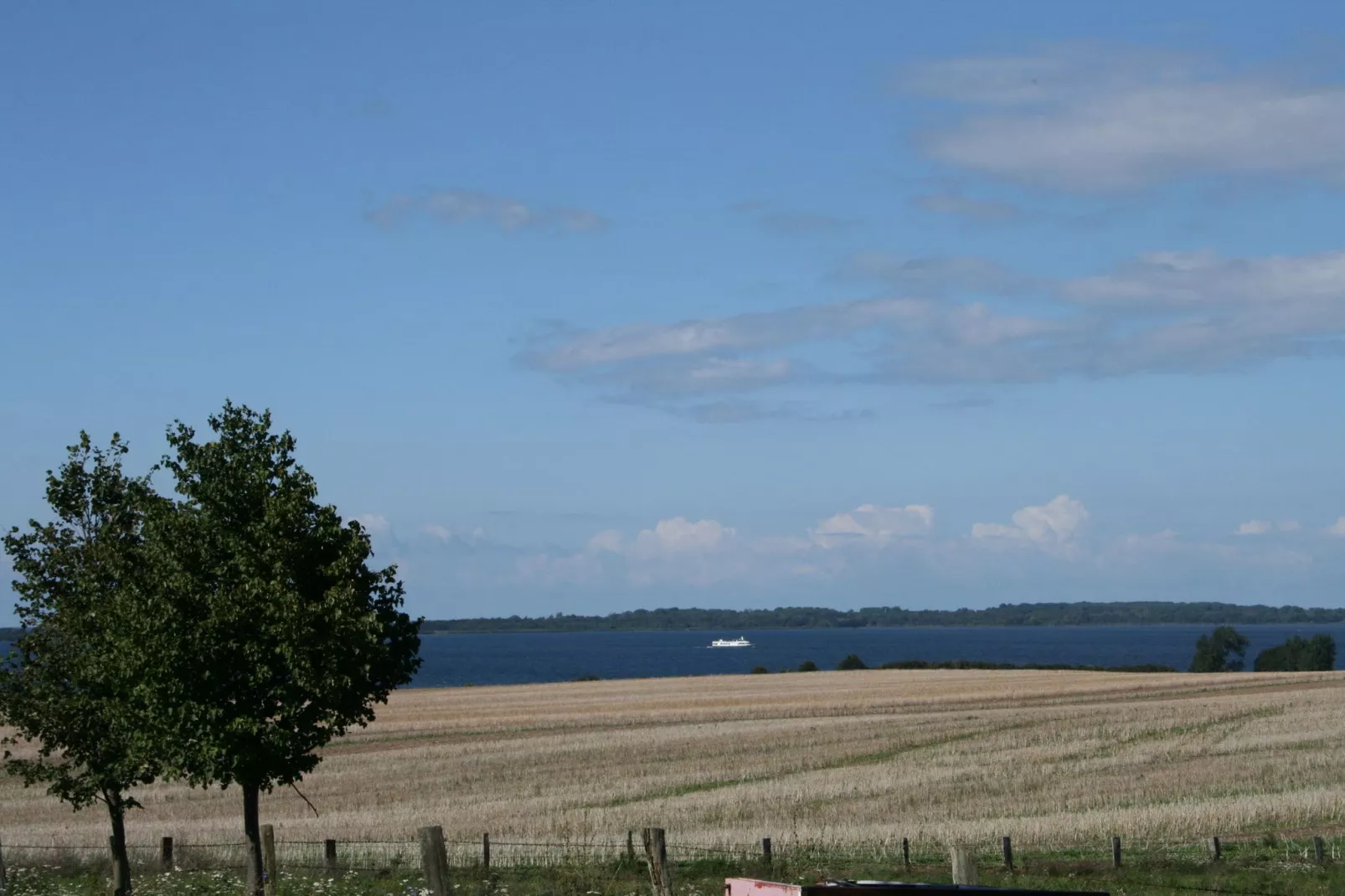 Zum Haff-Gebieden zomer 1km