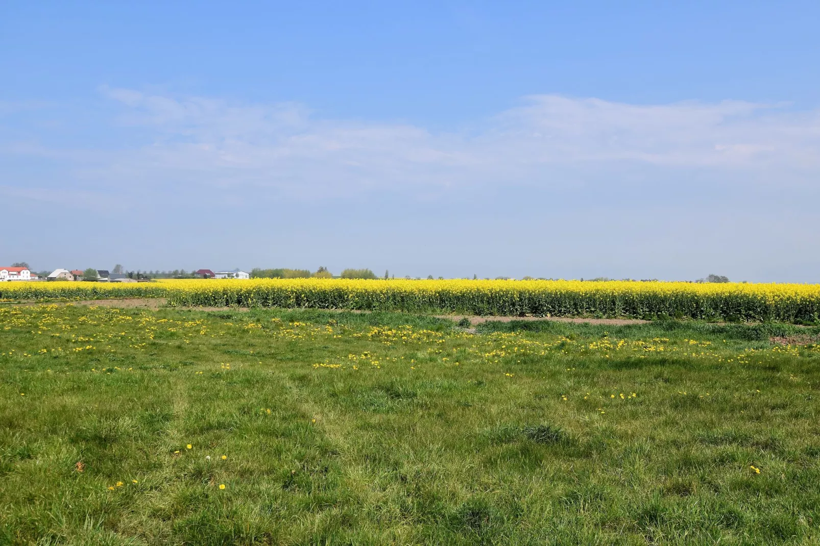 Poeler Damm Blick-Uitzicht zomer