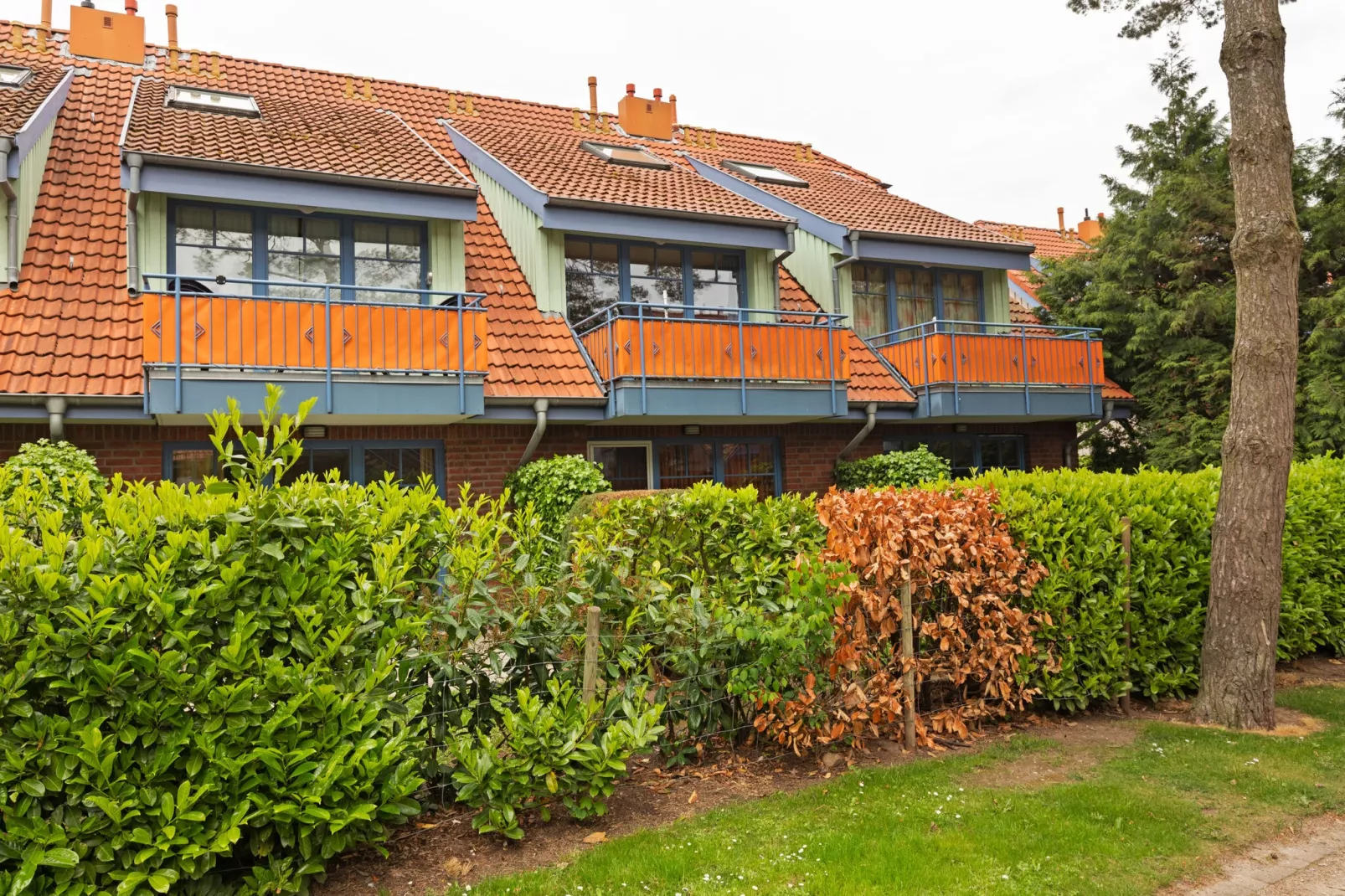 Feriendorf Ostseebad Boltenhagen - Nr 11/6