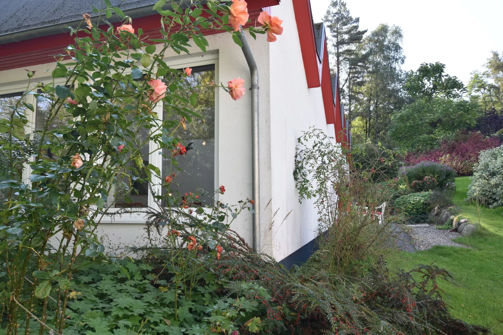 Ostseeblick Kühlungsborn mit Terrasse und Garten-Buitenkant zomer