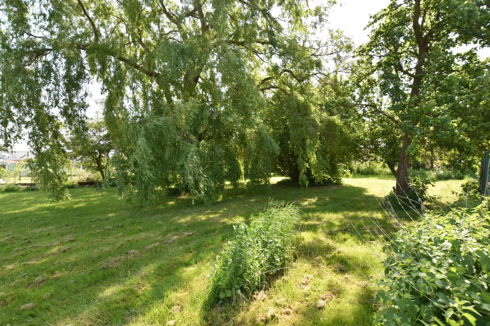 Ferienhaus nahe Insel Poel mit Kamin Terrasse und Garten-Tuinen zomer