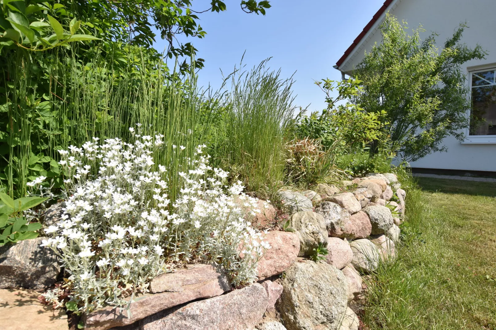 Ferienhaus nahe Insel Poel mit Kamin Terrasse und Garten-Tuinen zomer