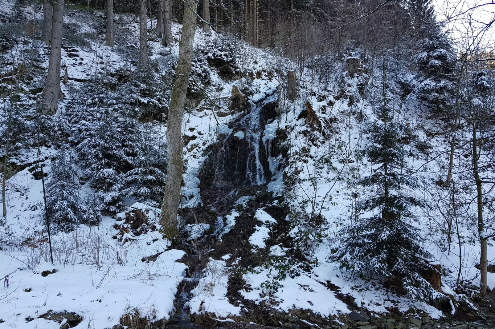 Spiegeltal-Gebied winter 20km
