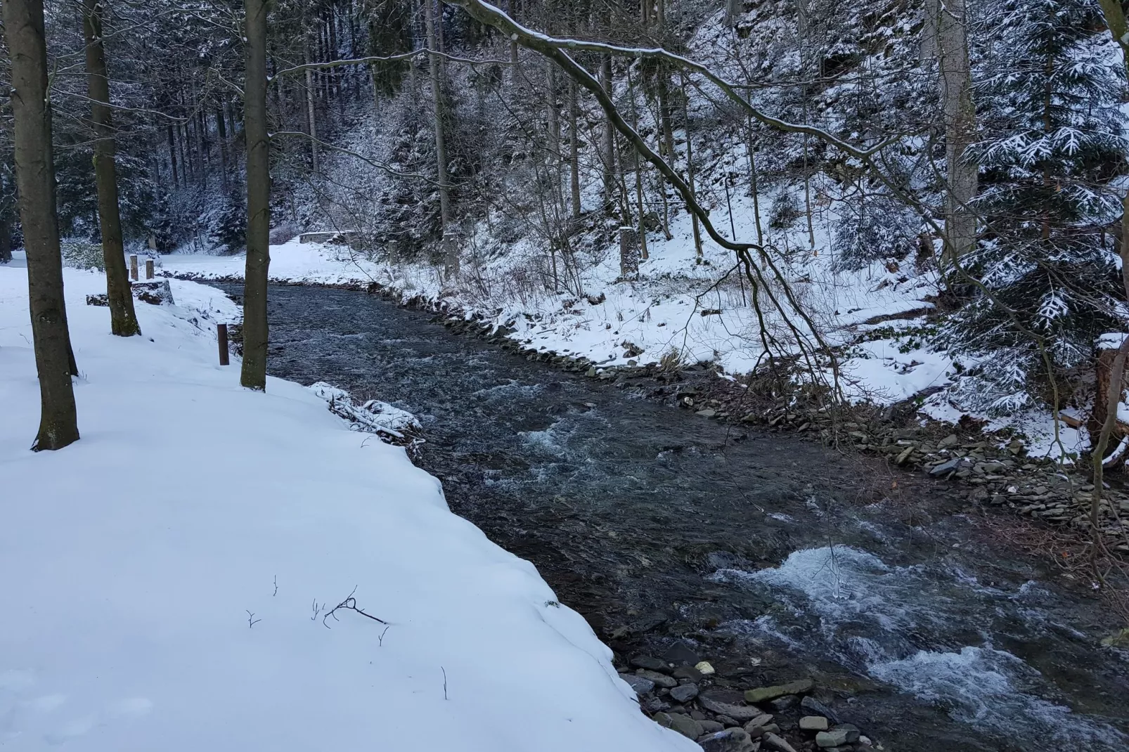 Spiegeltal-Gebied winter 20km