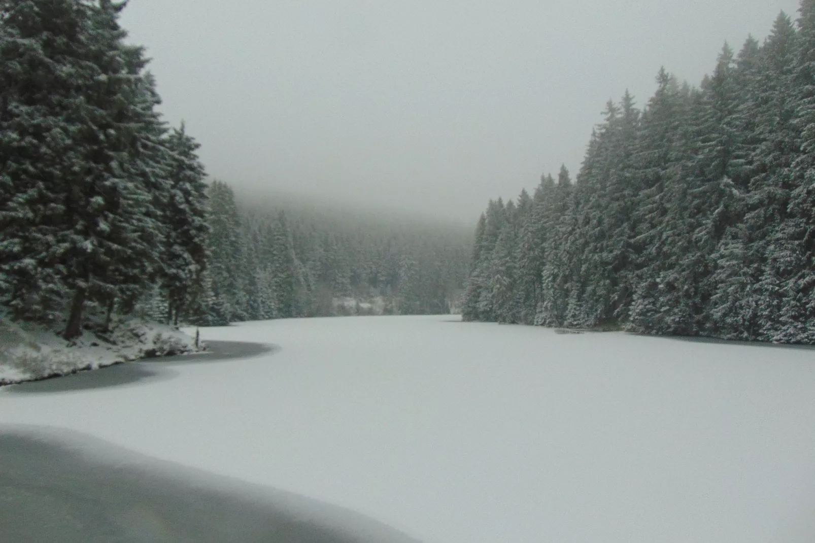 Wildemann-Gebied winter 1km