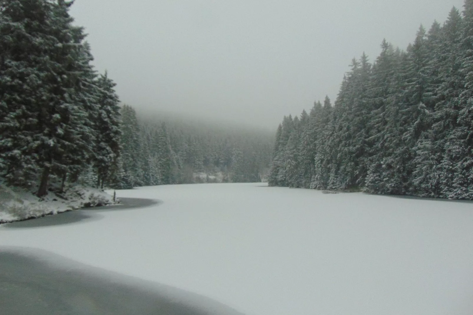 Wildemann-Gebied winter 5km