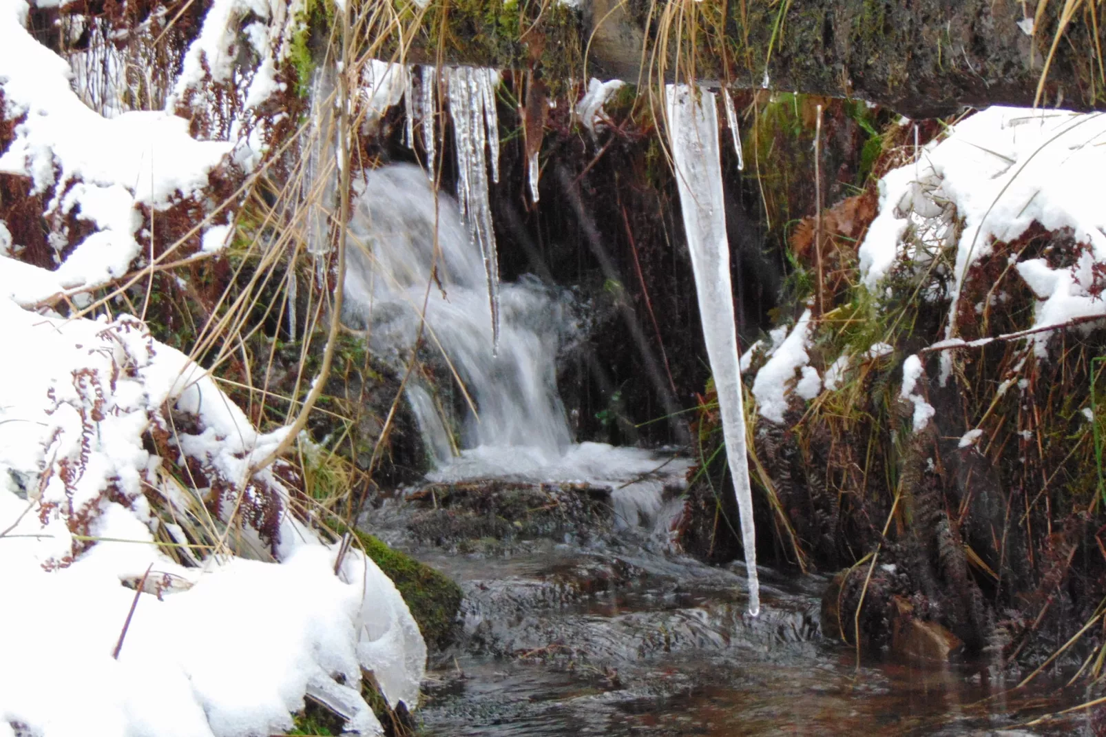 Wildemann-Gebied winter 5km