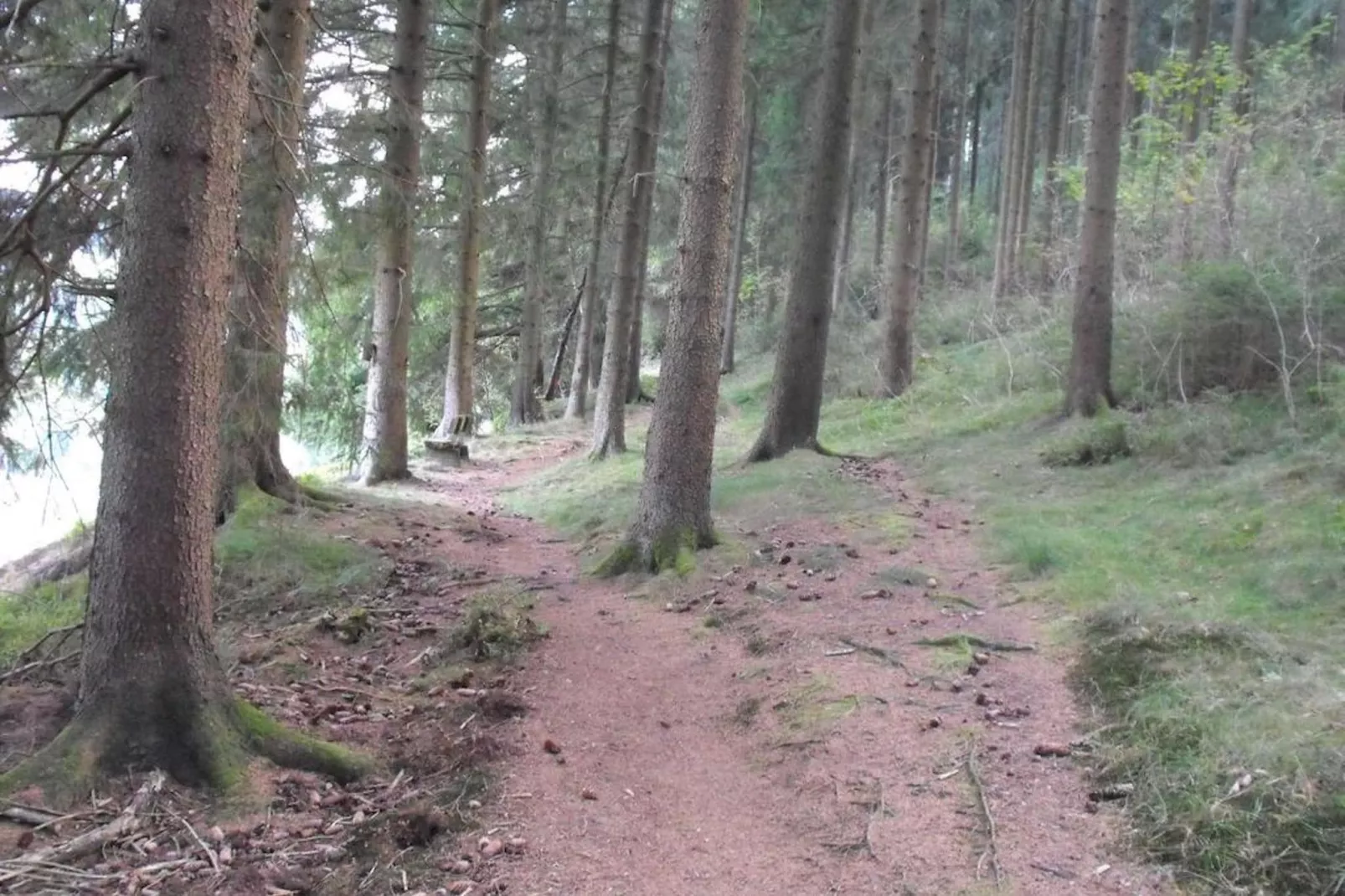 Wildemann-Gebieden zomer 1km