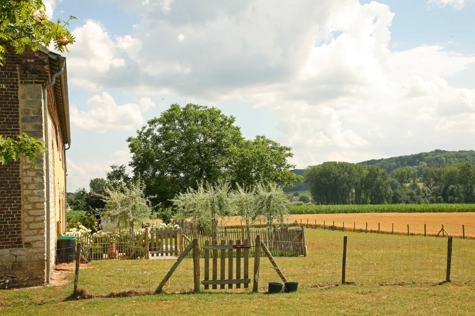 Hoeve in gunne winkel 1-Tuinen zomer