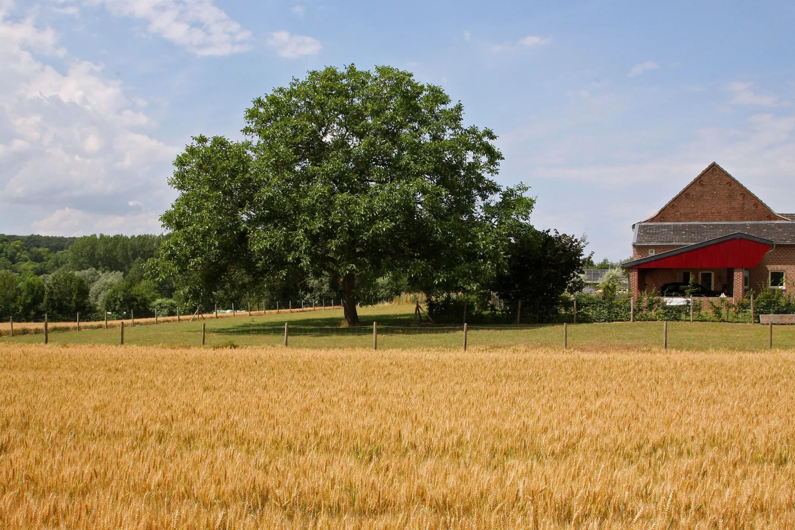 Hoeve in gunne winkel 1-Gebieden zomer 1km