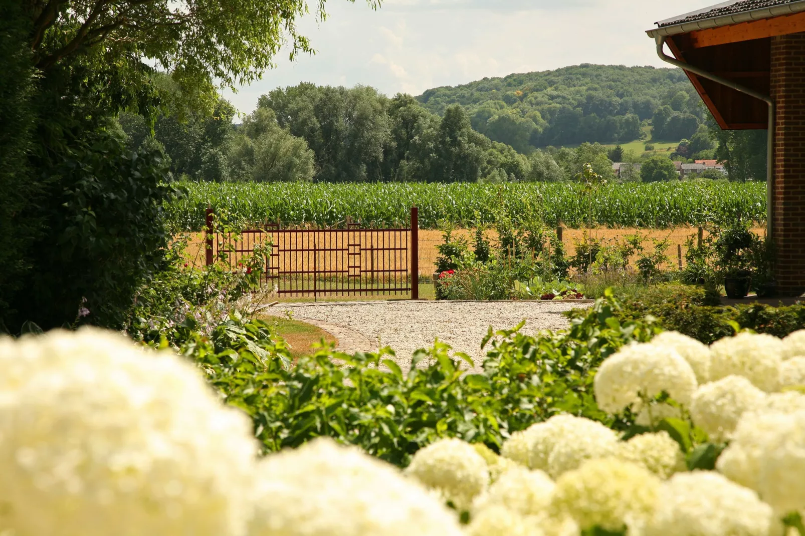 Hoeve in gunne winkel 1 en 2-Uitzicht zomer