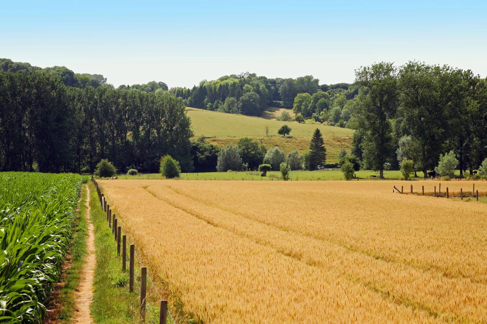 Hoeve in gunne winkel 1 en 2-Gebieden zomer 1km