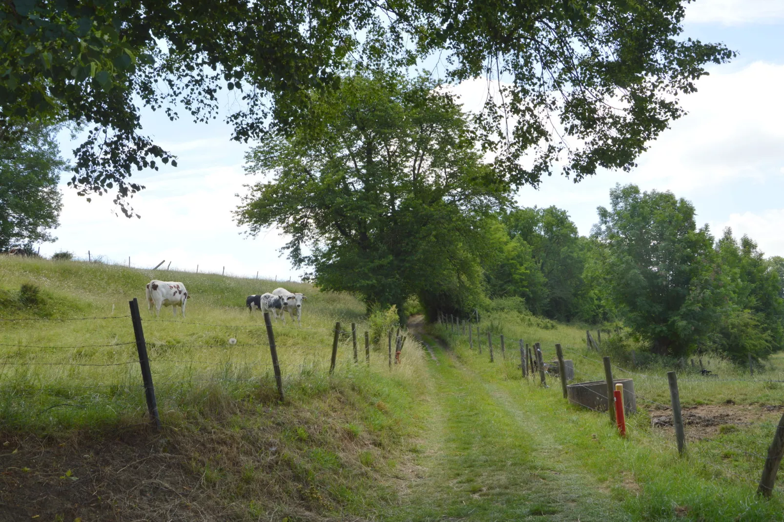 Geulhuisje-Gebieden zomer 1km