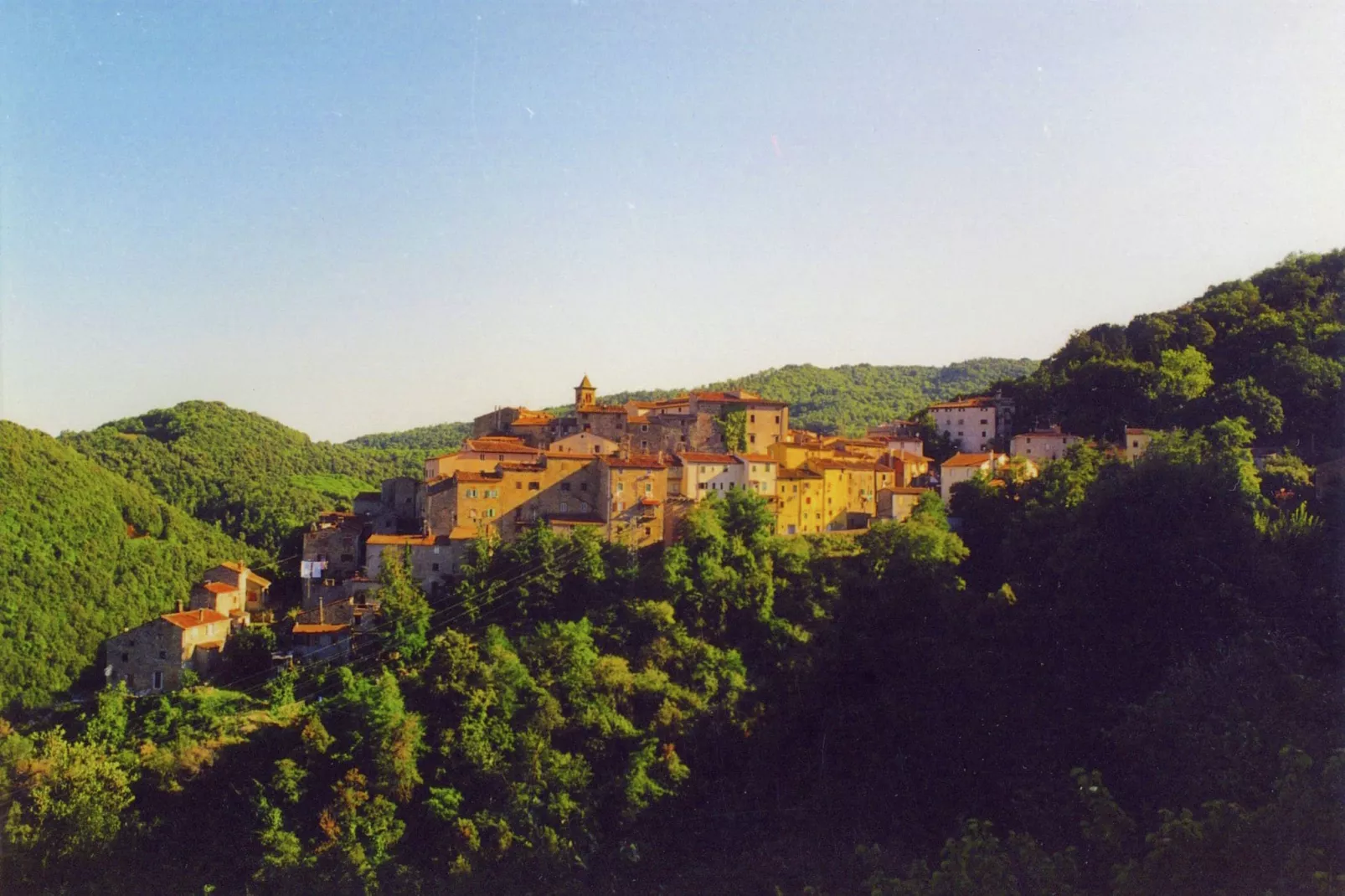 Quercia Dalia-Gebieden zomer 1km